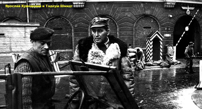 Польское кино разных лет