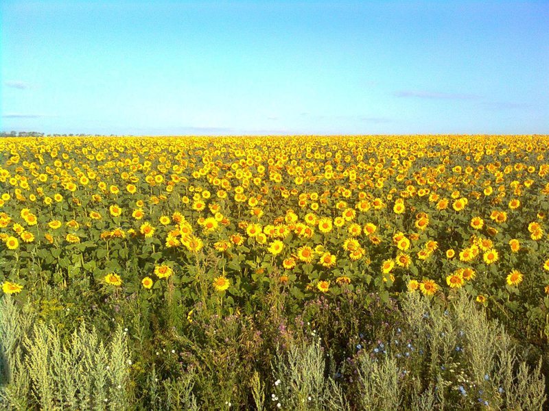  Страница 6 - Форум \\