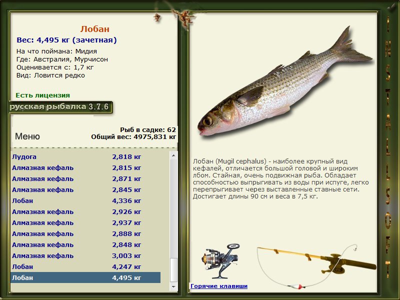 Russian-Asian Hunting Company :: Рыбалка