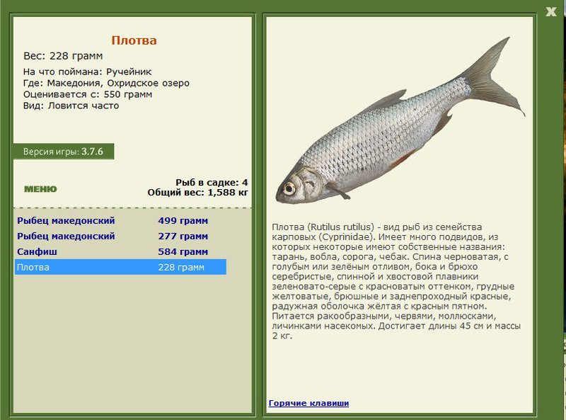РУССКАЯ РЫБАЛКА Installsoft Edition 