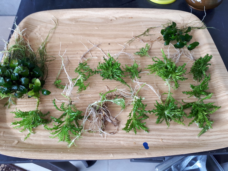  Начать новую тему