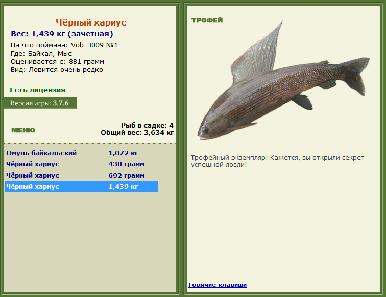 турниры • РУССКАЯ РЫБАЛКА