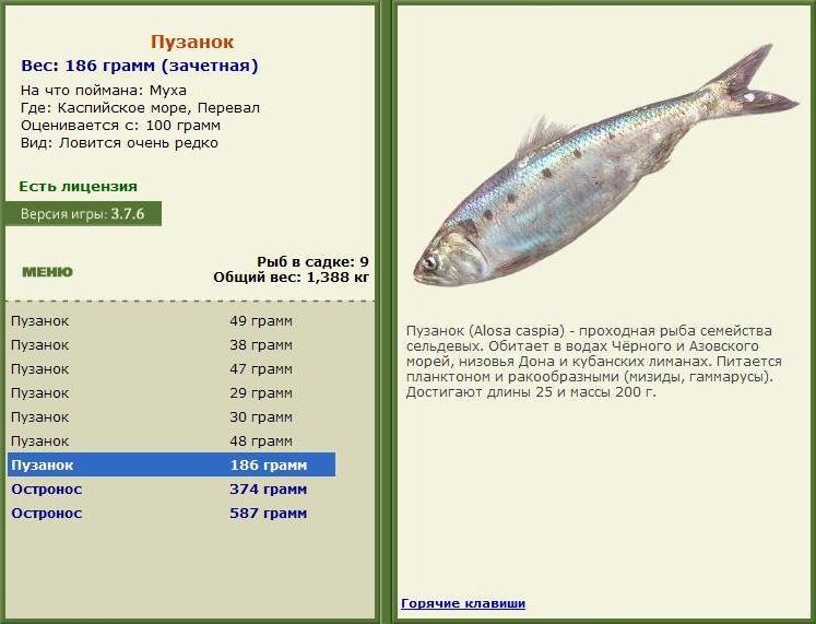 Каспийское море 