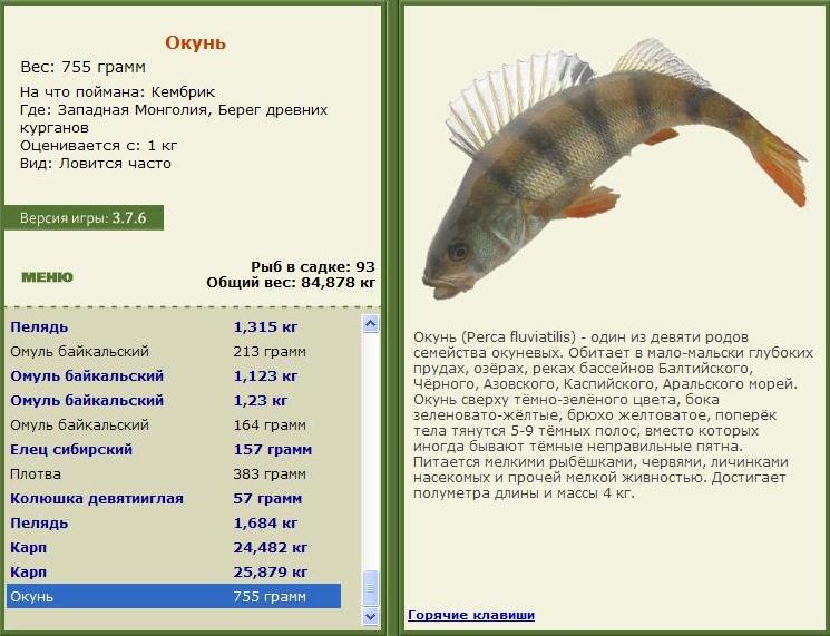 Берег древних курганов 