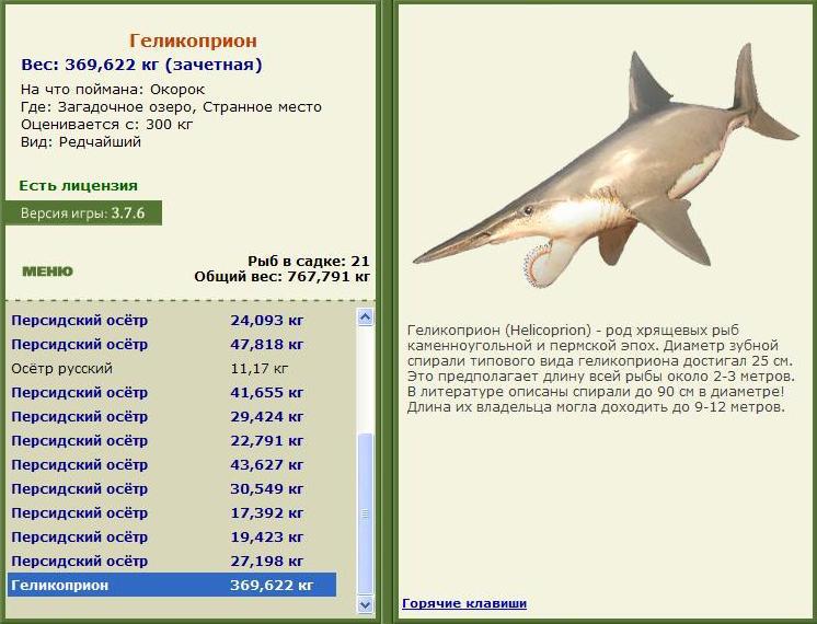 Странное место 