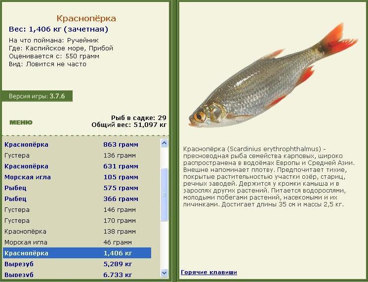 Каспийское море 