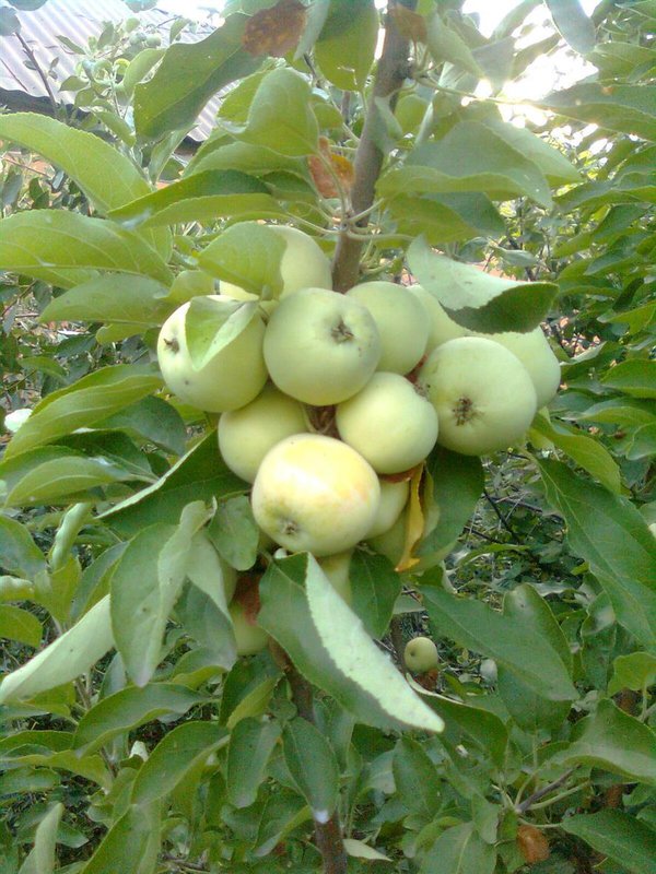  Страница 6 - Форум \\