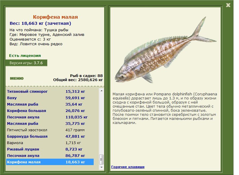 турниры • РУССКАЯ РЫБАЛКА