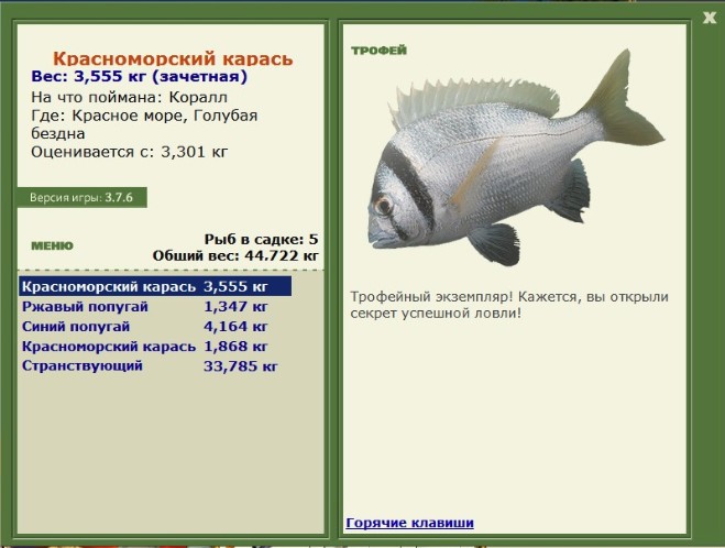 Коралл 
