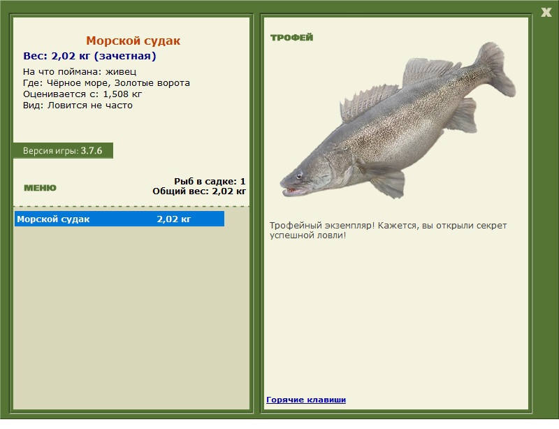 Морской судак 