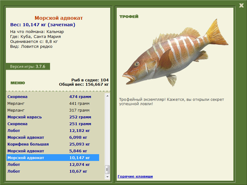 Морской адвокат 