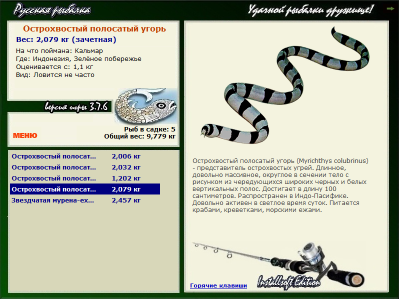 РУССКАЯ РЫБАЛКА Installsoft Edition 
