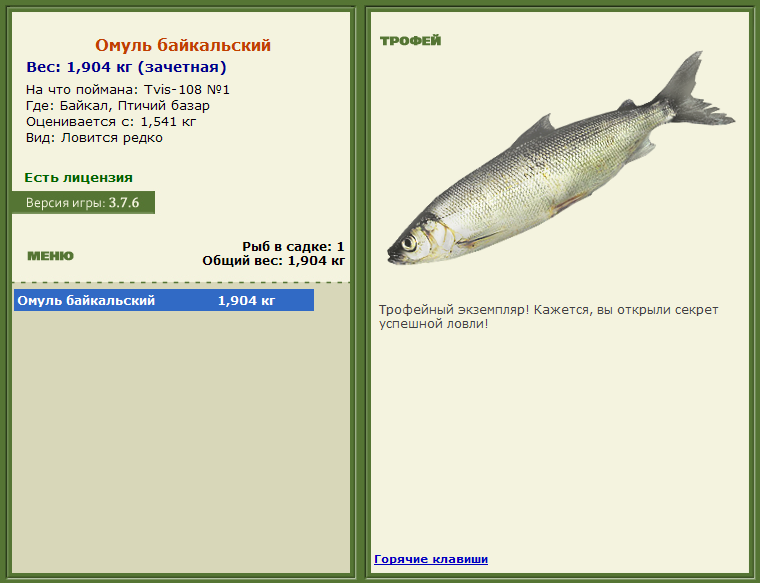турниры • РУССКАЯ РЫБАЛКА