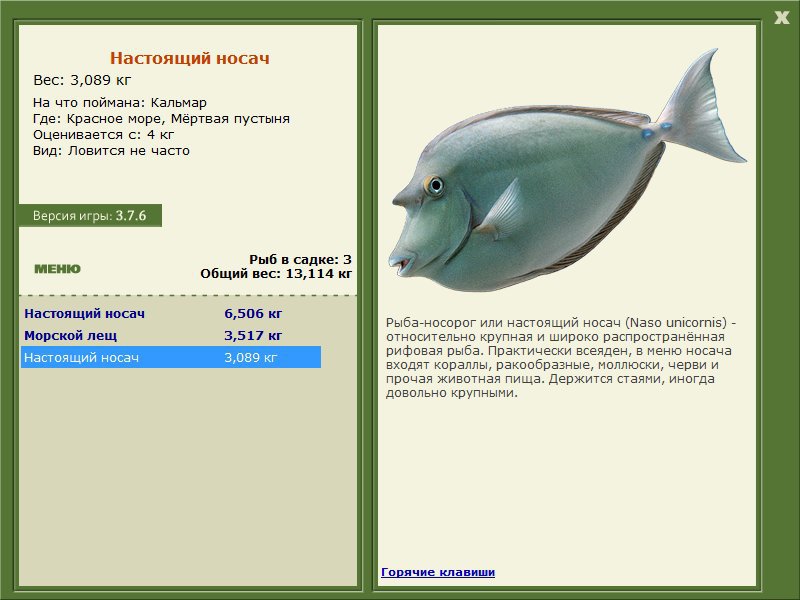 Мёртвая пустыня 