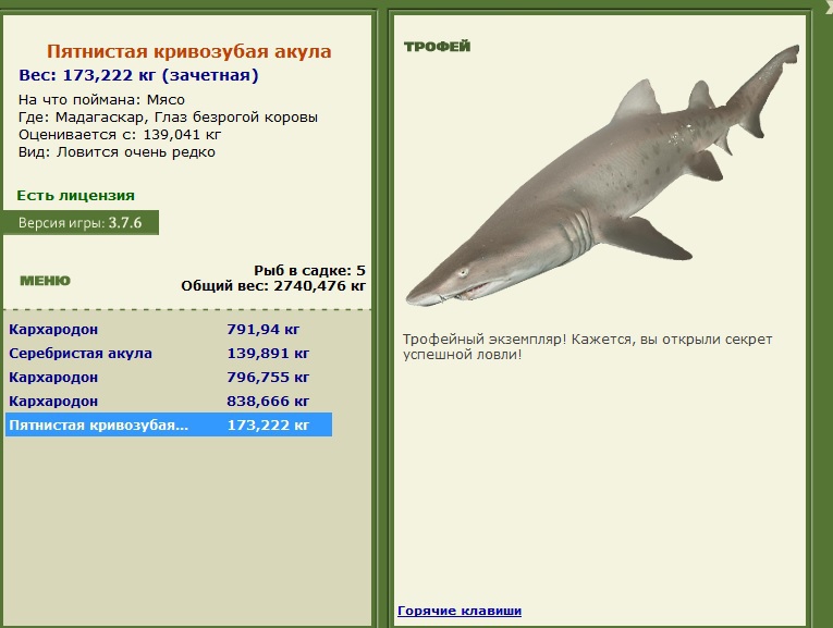 Пятнистая кривозубая акула 
