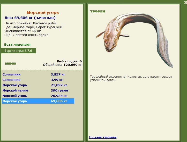 Морской угорь 