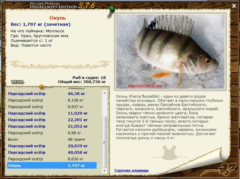 РУССКАЯ РЫБАЛКА Installsoft Edition 
