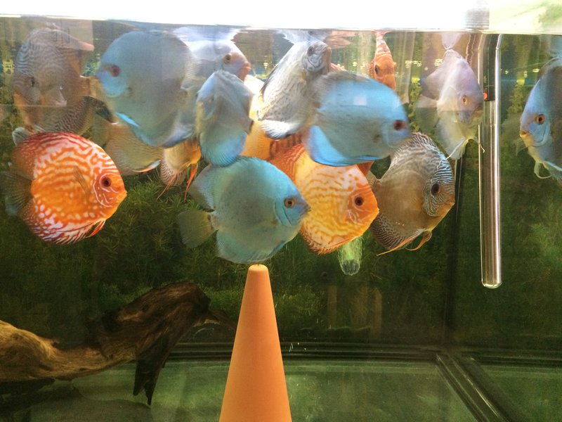  Редактировать сообщение