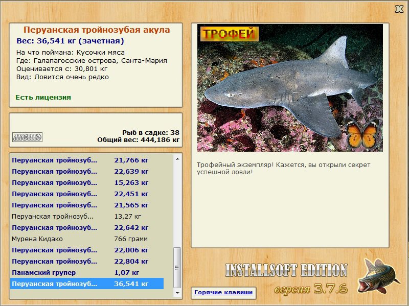 Перуанская тройнозубая акула 