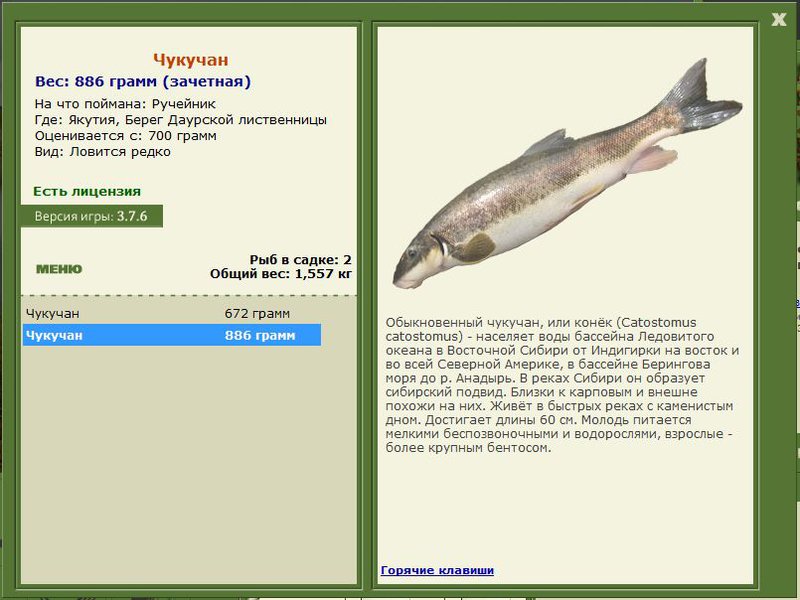 РУССКАЯ РЫБАЛКА Installsoft Edition 