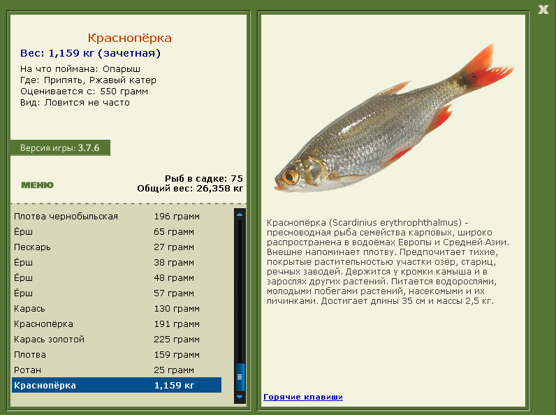 турниры • РУССКАЯ РЫБАЛКА