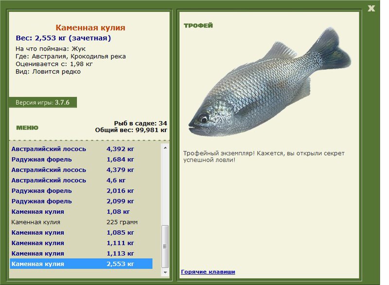 Каменная кулия 