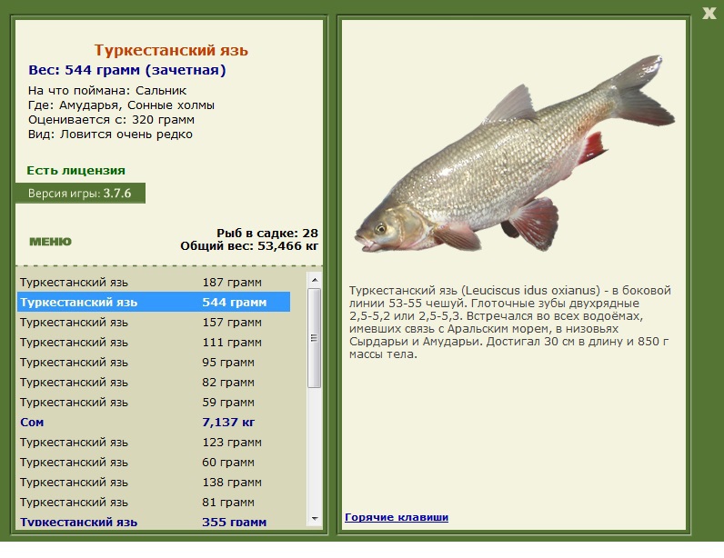 Сонные холмы 