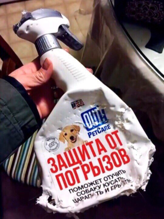 ФОРУМ ЛЮБИТЕЛЕЙ КОЛЛИ И ШЕЛТИ 