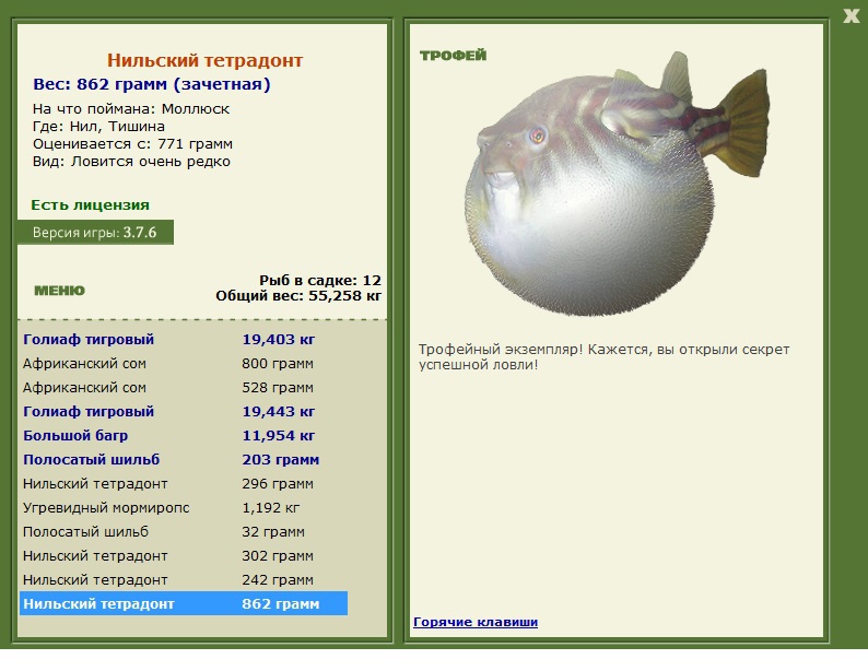 Тишина 