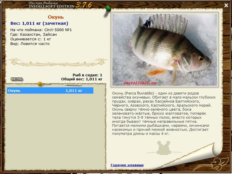 РУССКАЯ РЫБАЛКА Installsoft Edition 