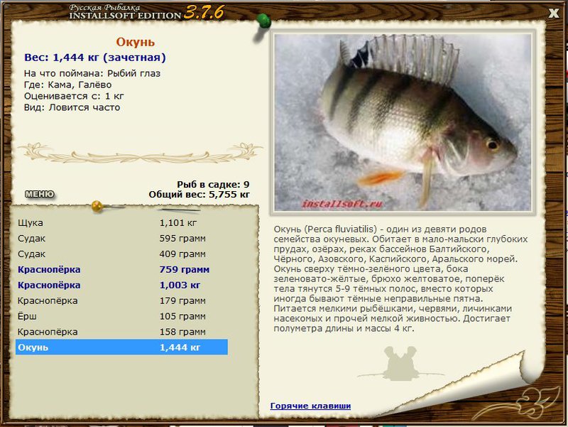 РУССКАЯ РЫБАЛКА Installsoft Edition 