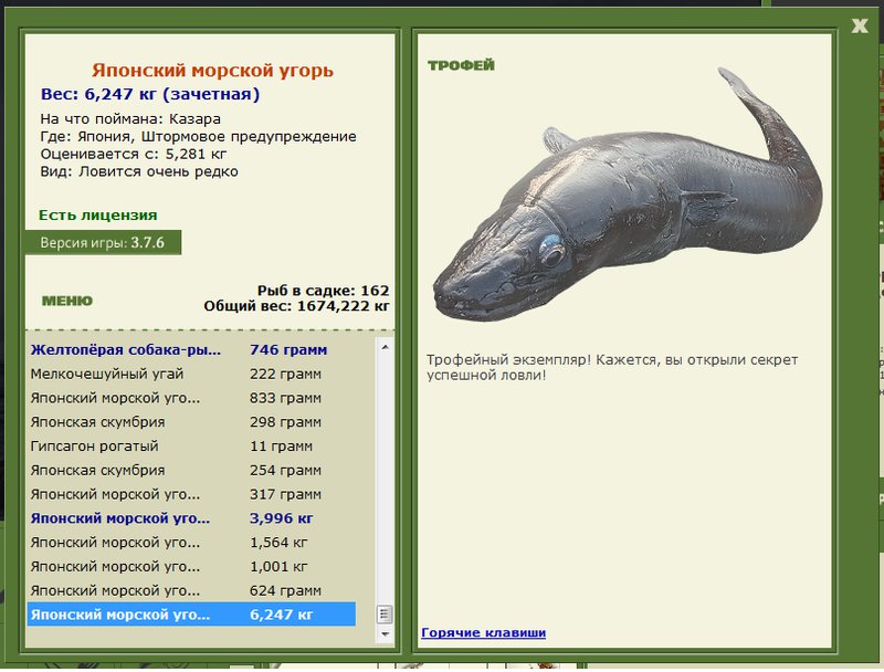 Японский морской угорь 