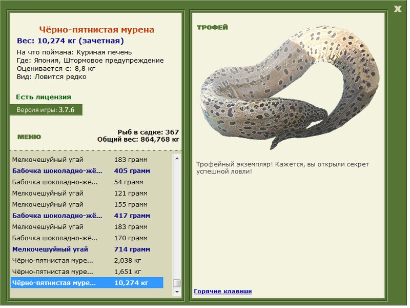 Штормовое предупреждение 