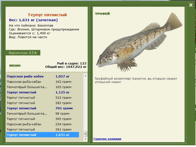 Штормовое предупреждение 