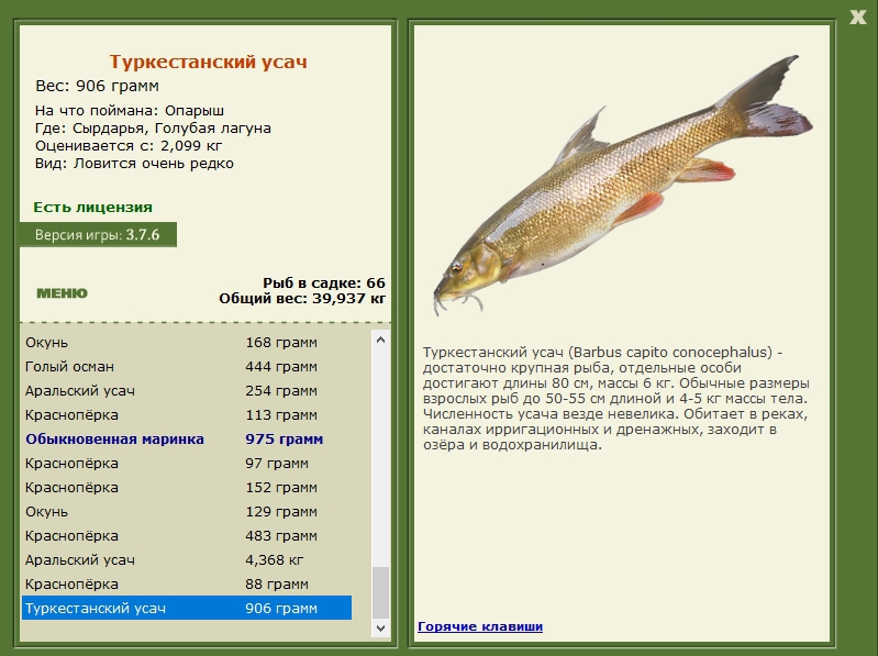 Голубая лагуна 