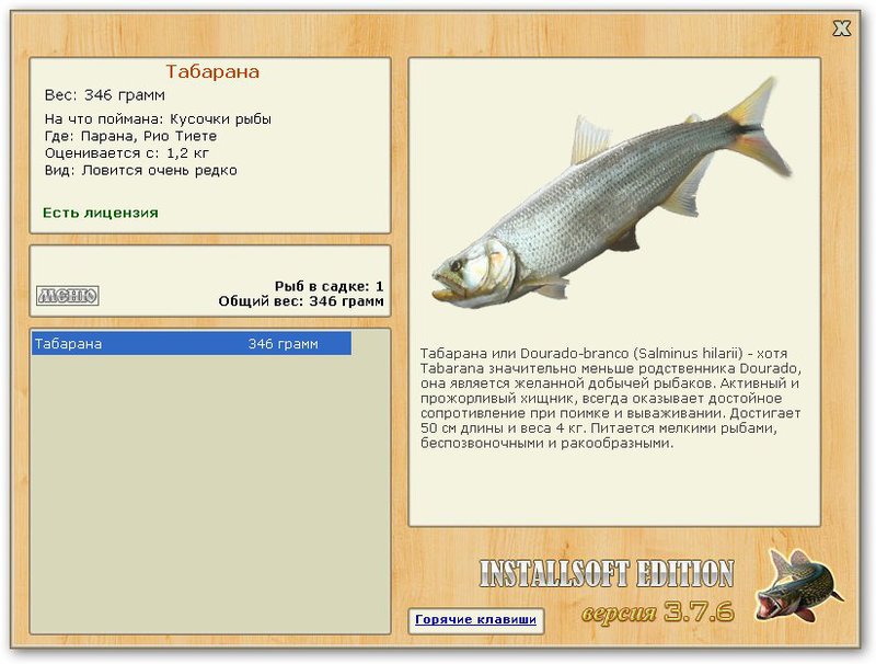Рио Тиете 