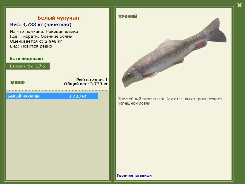 Осенние холмы 