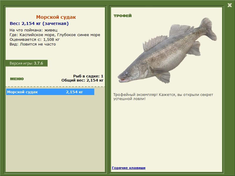РУССКАЯ РЫБАЛКА Installsoft Edition 
