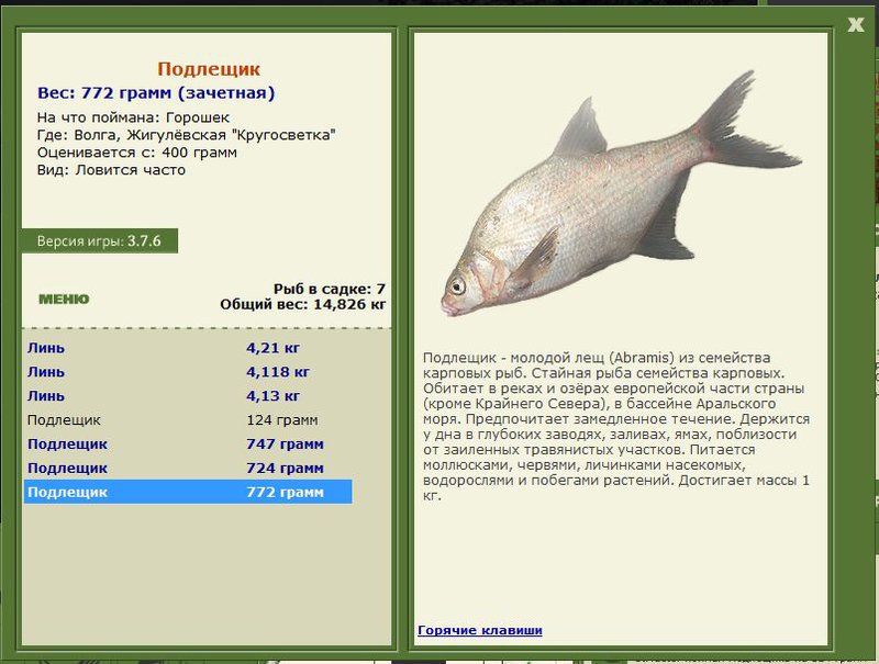 РУССКАЯ РЫБАЛКА Installsoft Edition 