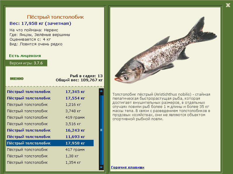 Зелёные вершины 