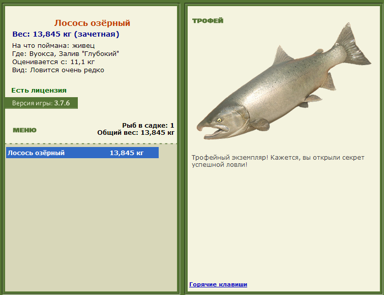 турниры • РУССКАЯ РЫБАЛКА