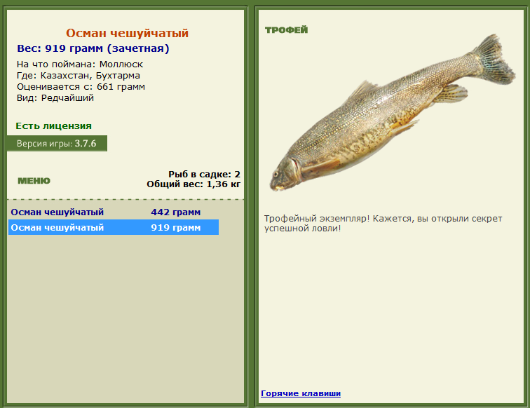 турниры • РУССКАЯ РЫБАЛКА