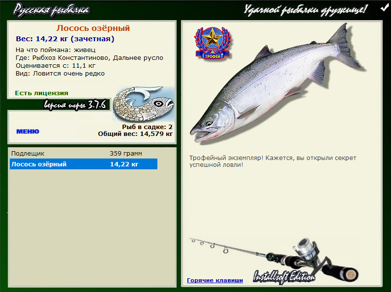 Лосось озёрный 