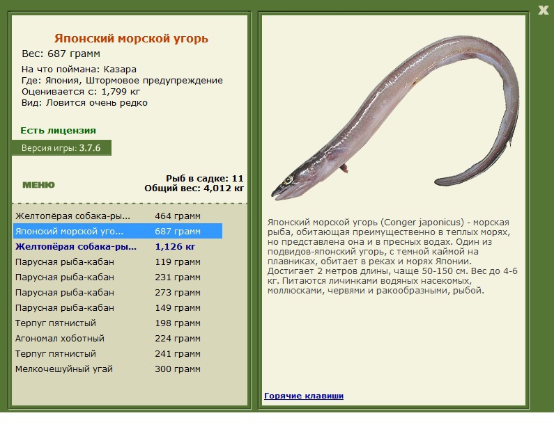 Штормовое предупреждение 