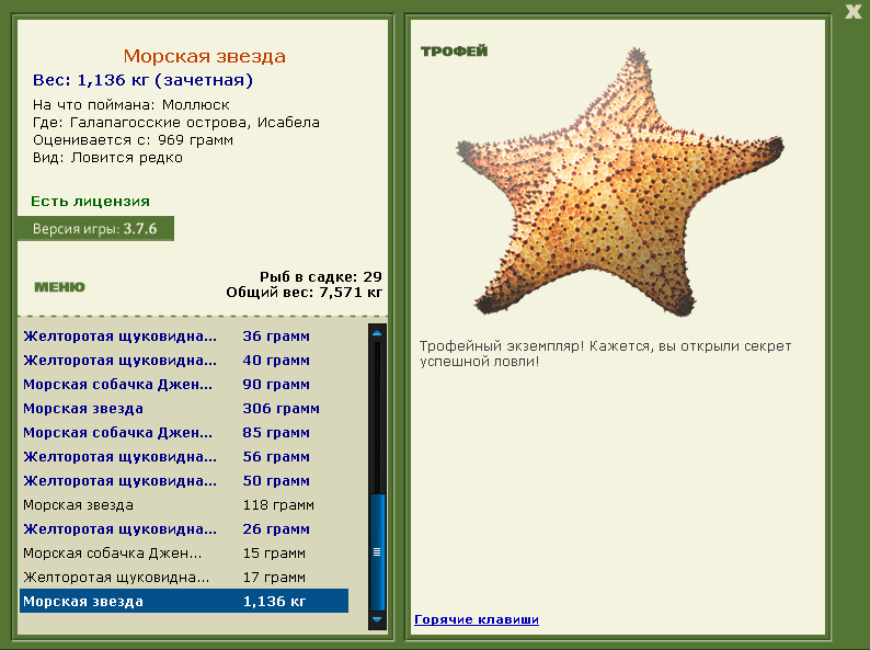 Моллюск 