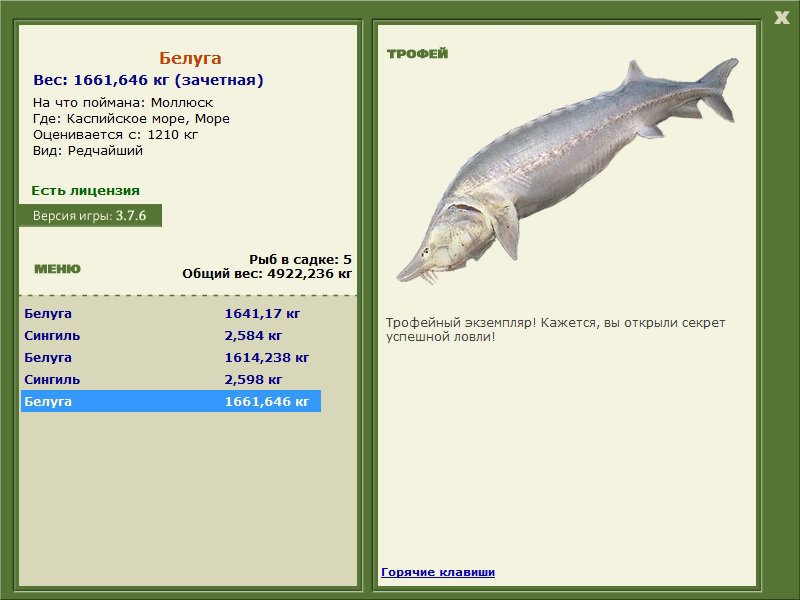 Море 