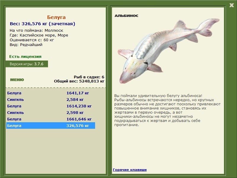 Море 