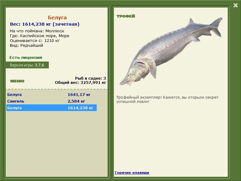 Море 