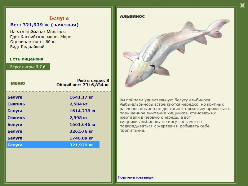 Море 