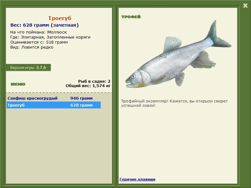 турниры • РУССКАЯ РЫБАЛКА